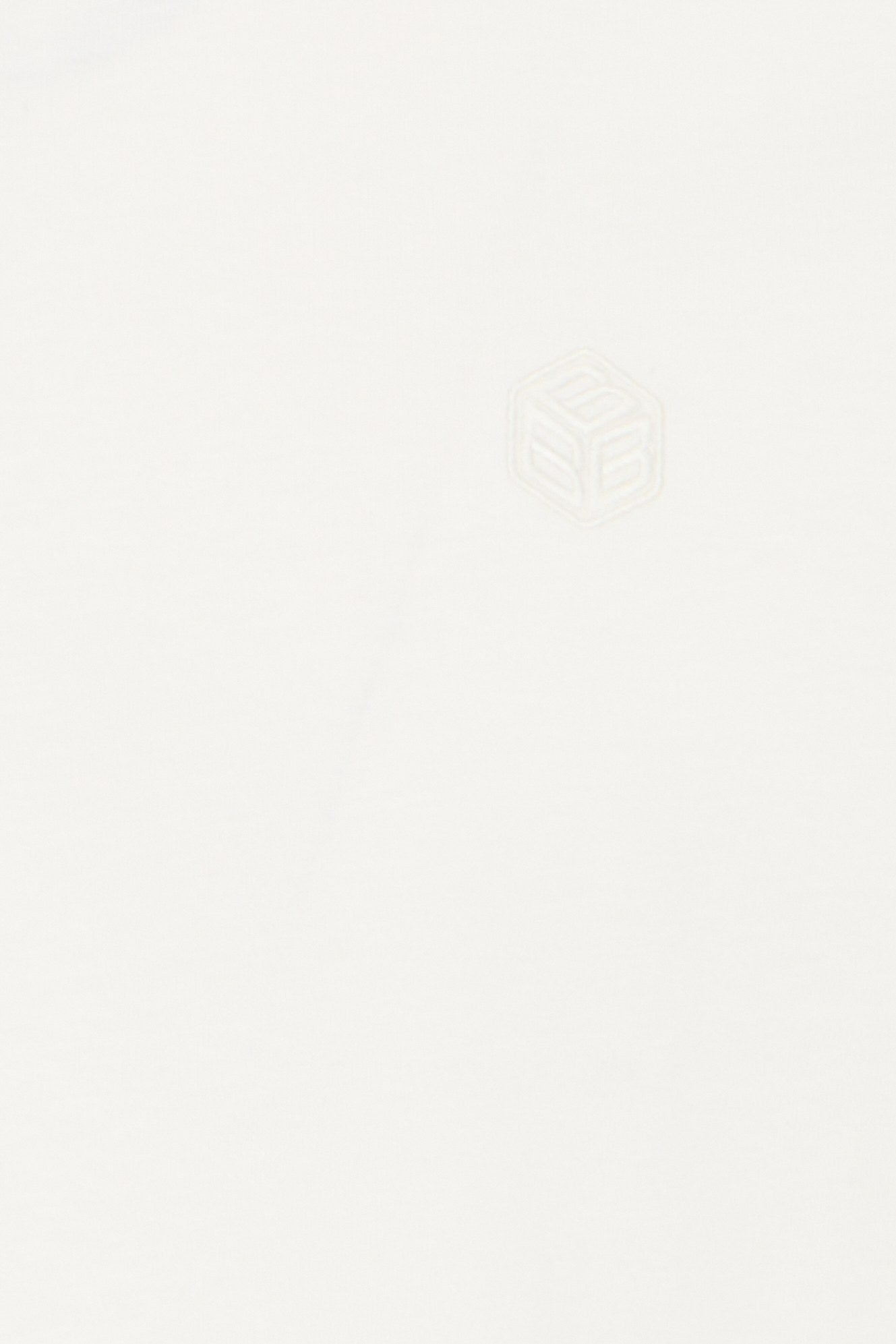 172504_image_3