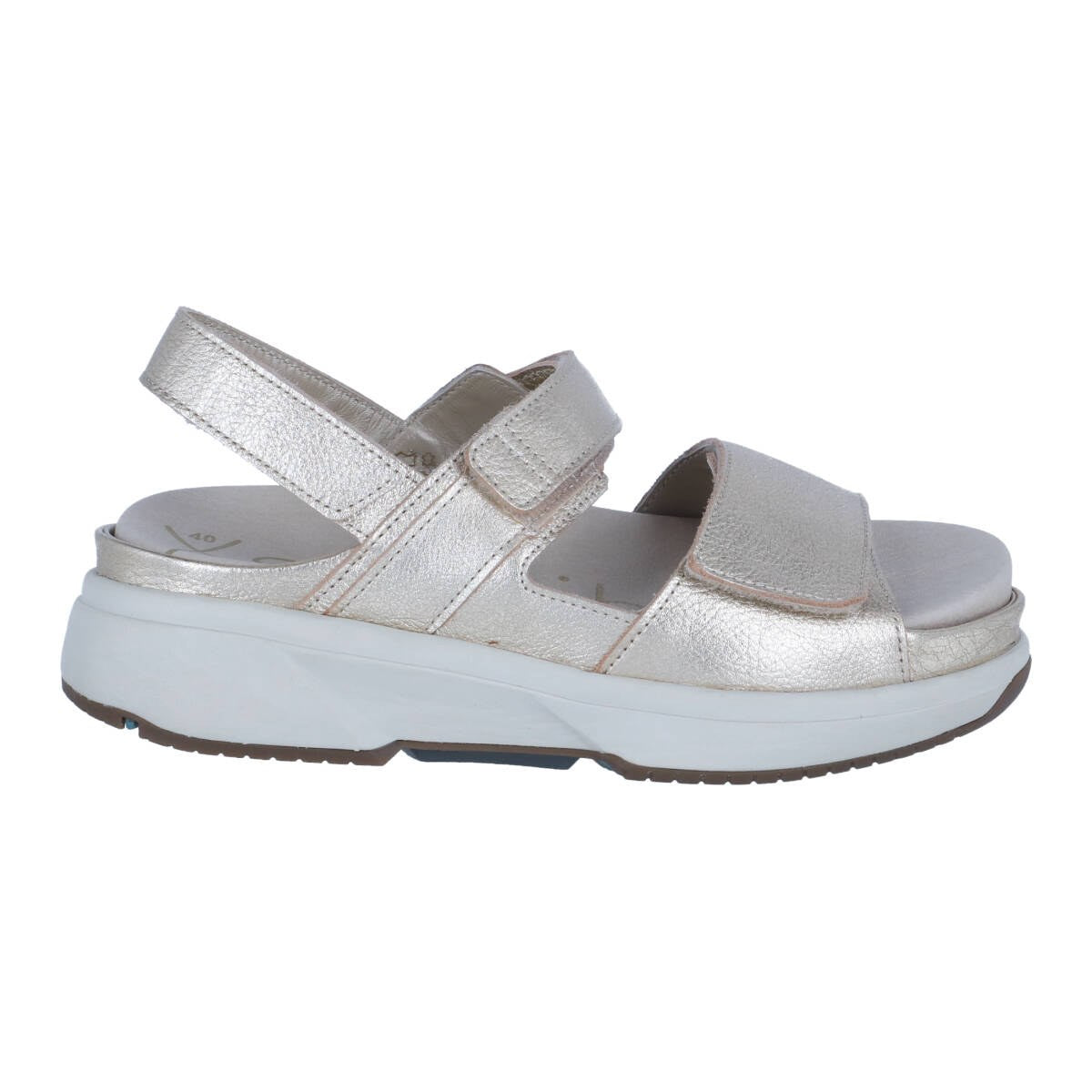 173135_image_1