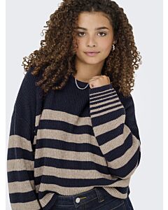 ONLY Truien & sweaters