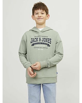 JACK&JONES JUNIOR Truien & sweaters
